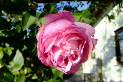 DSCF3134.JPG