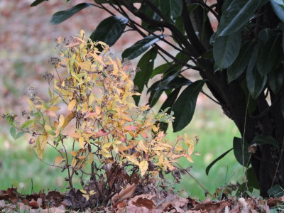 DSCN2851.JPG