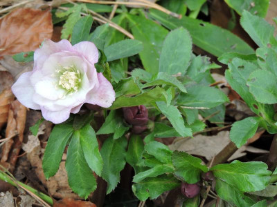 DSCN2837.JPG