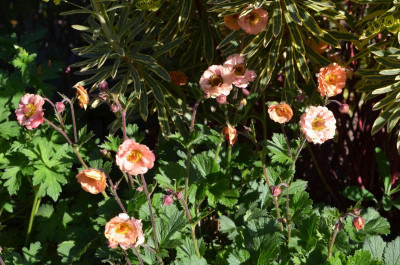 Geum-MaiTai-15-1.jpg