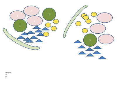 Pflanzskizze Test.jpg