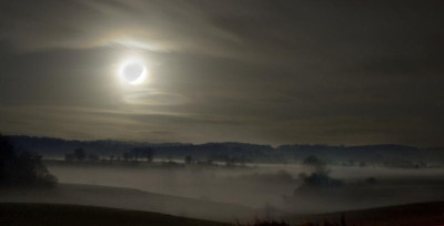 Wein.nebel.jpg