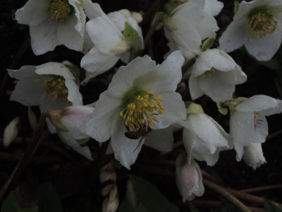 DSCN8753_1067.JPG