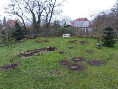 2015-12-18 Birkenhain 1.jpg