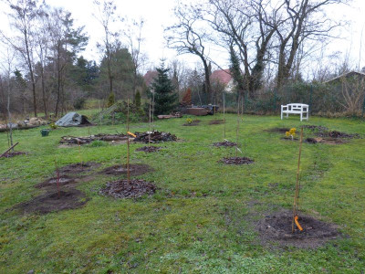 2015-12-18 Birkenhain 2.jpg