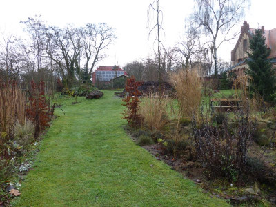 2015-12-19 Garten 1.jpg