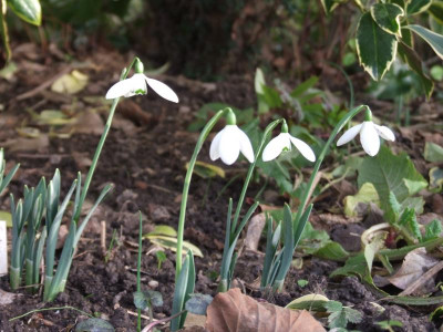 DSCF2692.JPG