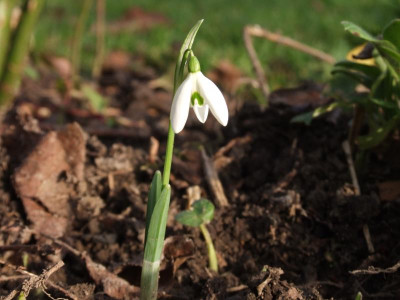 DSCF2694.JPG