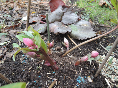 DSCN8774_1079.JPG