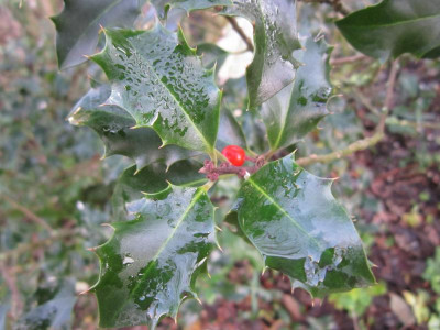 151220_12.JPG