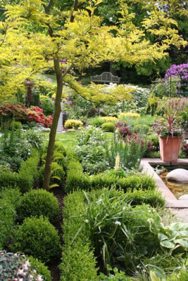 Franks-Garten-2.jpg
