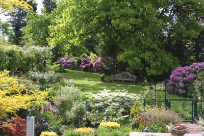 Franks-Garten-3.jpg