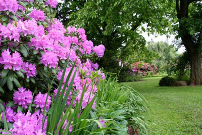 Franks-Garten-7.jpg