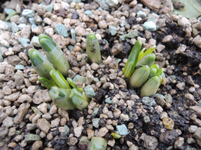 DSCN8813_1083.JPG