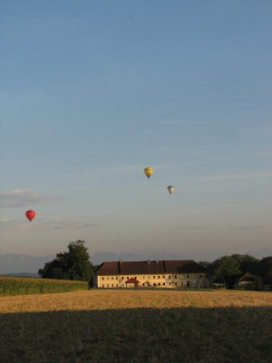 ballons_neulich.jpg