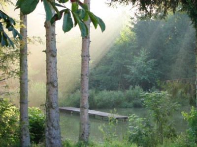herbststimmung_am_teich.jpg