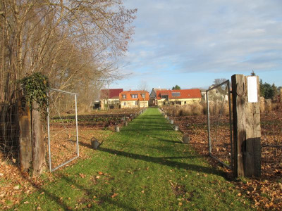 Rasenweg 23.12.15 ue.JPG