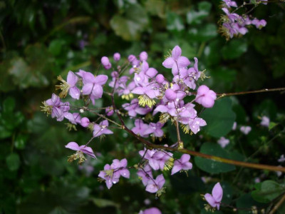 Groenanderung_DSC01485.JPG