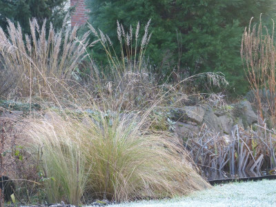 2015-12-24 Gartenimpressionen 10.jpg