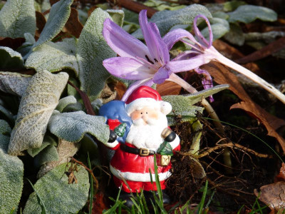 2015-12-24 Frohe Weihnachten.jpg