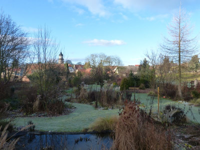 2015-12-24 Garteneinblick 2.jpg