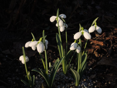 DSCN8846_1092.JPG