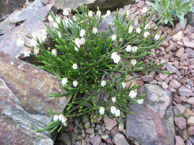 20150502_095815.jpg