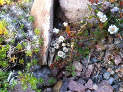 20150604_204732.jpg