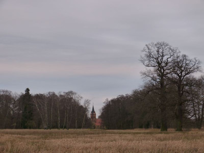 2015-12-25 Schlosspark Wiesenburg 2.jpg