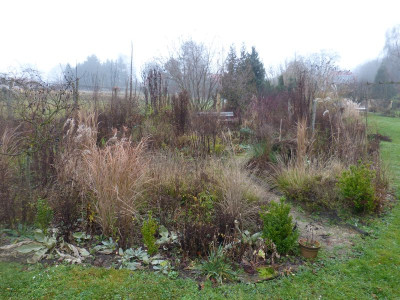 2015-12-28 Ahornbeet 1.jpg