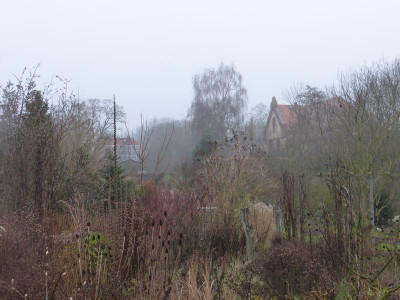 2015-12-28 Ahornbeet 2.jpg