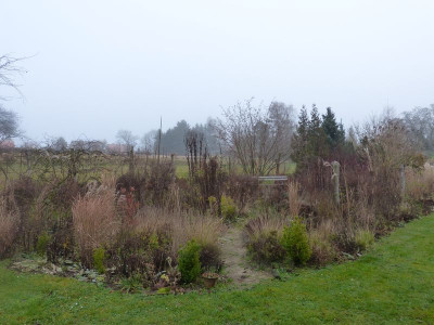 2015-12-28 Ahornbeet 3.jpg