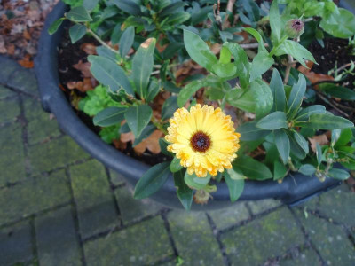 diverse unsortiert 019.JPG