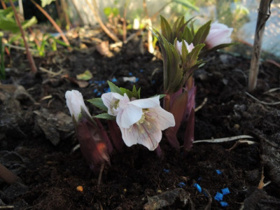DSCN8885_1097.JPG
