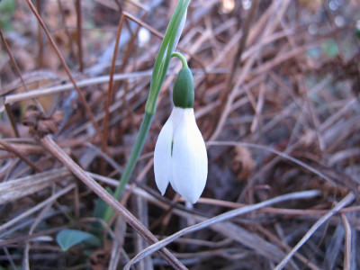 IMG_8865.JPG