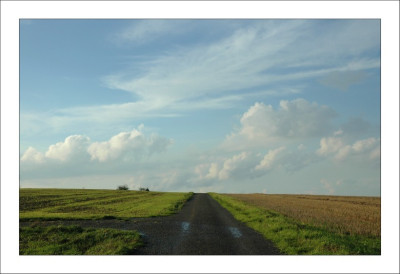 Feldansichten_1_27-08-2006.jpg