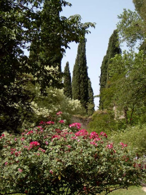 Ninfa-2.jpg