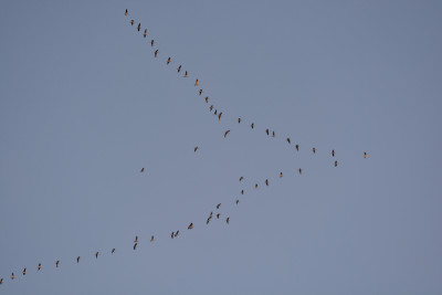 DSC_2422 Kopie.jpg