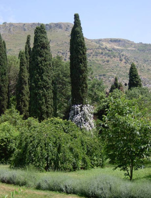 Ninfa-8.jpg