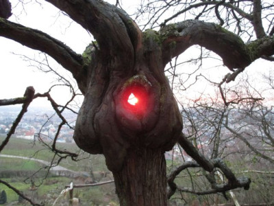 Sonnenaufgang 20151230.jpg