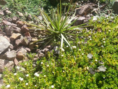 20150718_093931.jpg