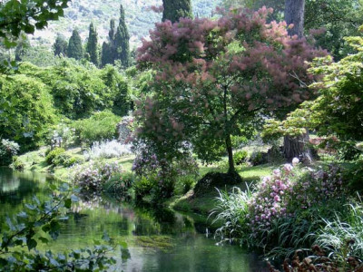 Ninfa-10.jpg
