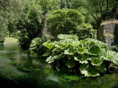 Ninfa-18.jpg
