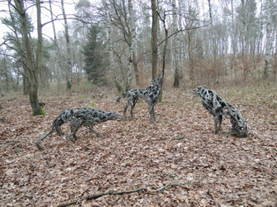 DSCN8912_1107.JPG