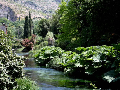 Ninfa19.jpg
