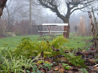 2016-01-01 Gartenimpressionen 2.jpg