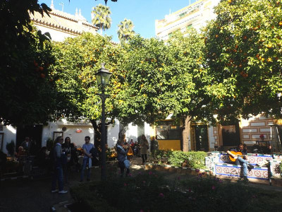 fars 2016 Barrio de Santa Cruz 2.JPG