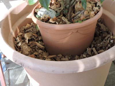 DSCN2956.JPG