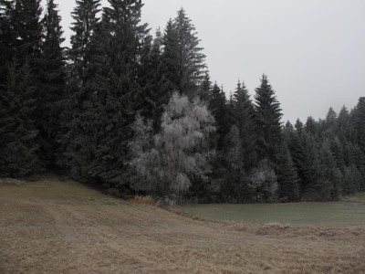 kompostplatzjaener.img.JPG