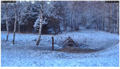 Wildkamera 6.1.2016.jpg